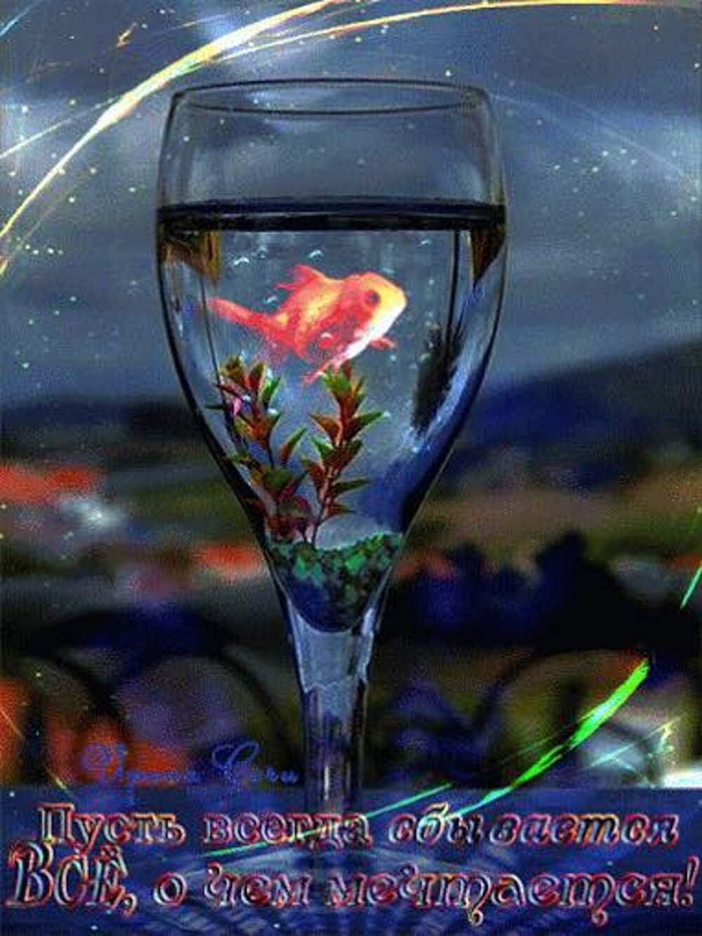 День загадывания желаний