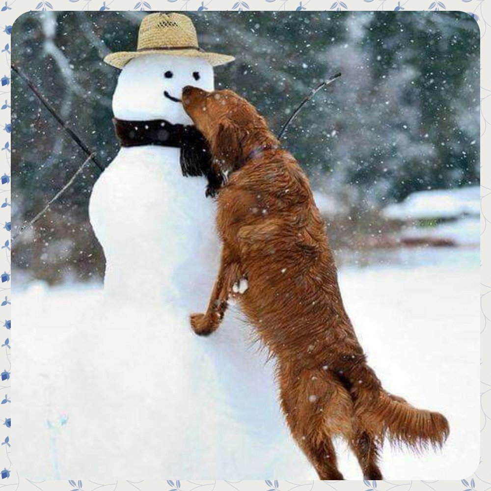 Скамейка зимой