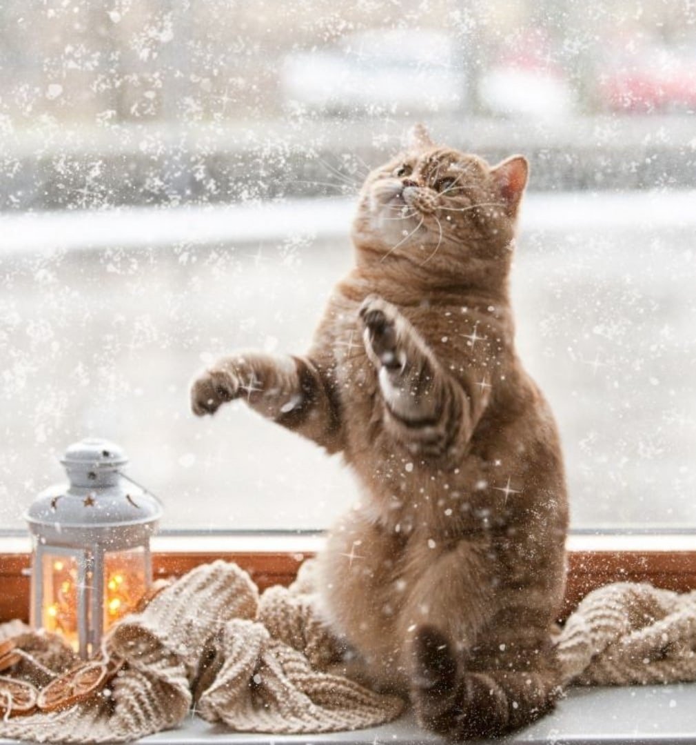 Доброе утро спервым сненом