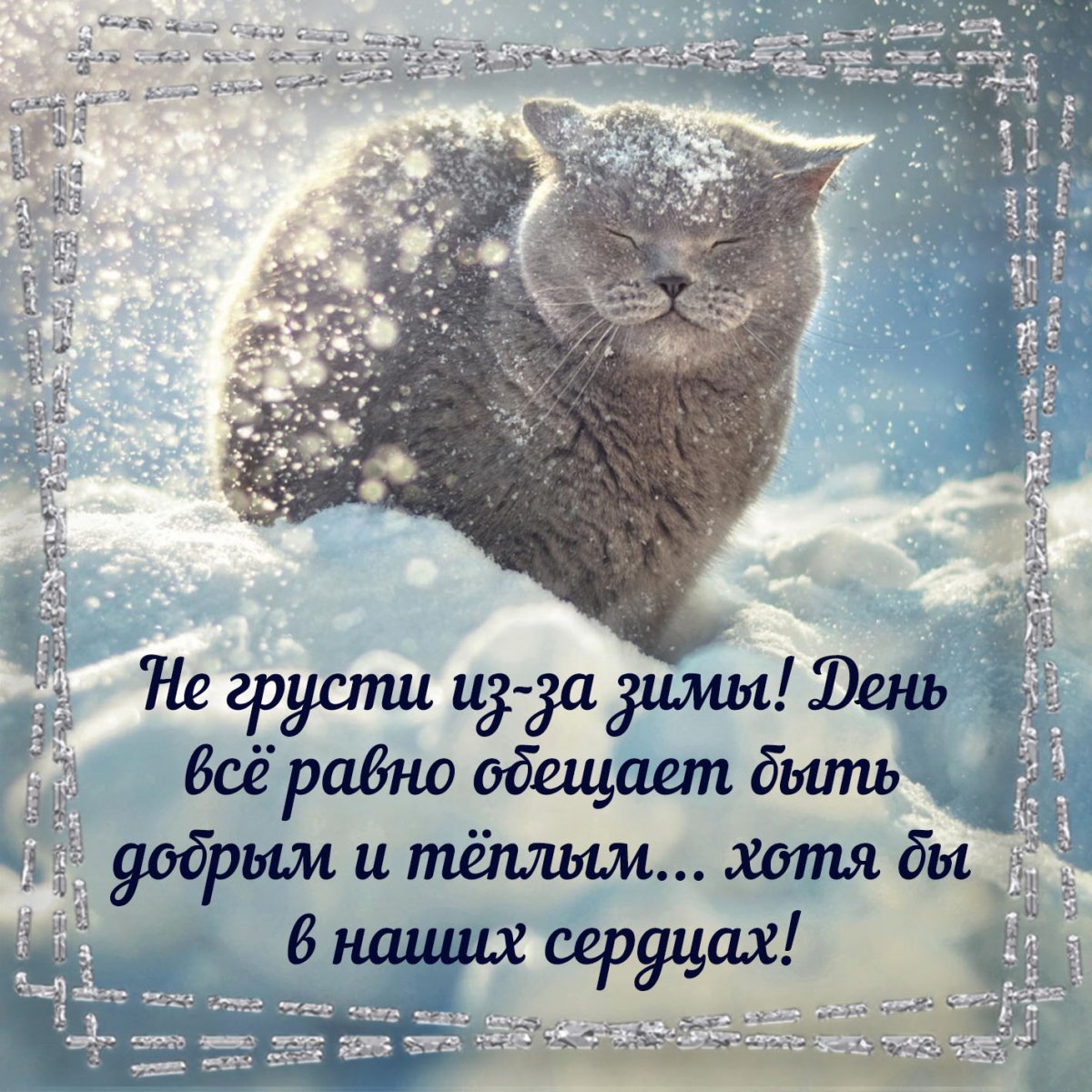 С первым зимним днем