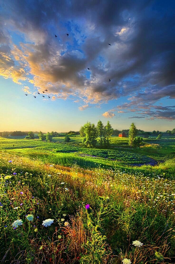 Летний пейзаж