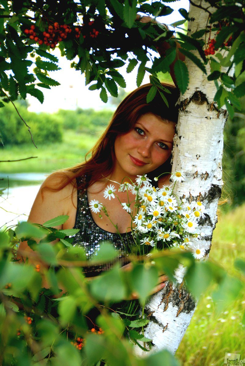 Открытки с березами