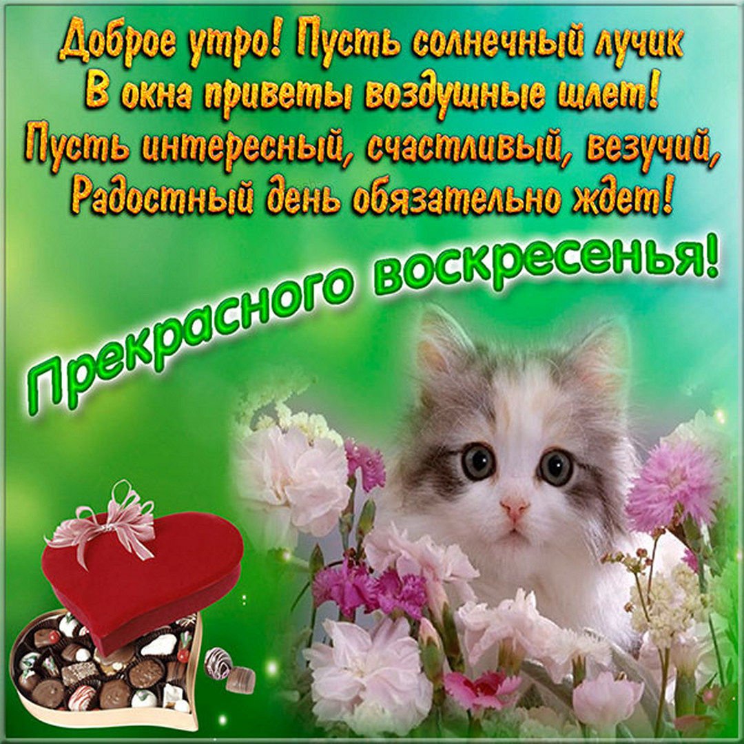 Хорошего воскресного утра и отличного настроения