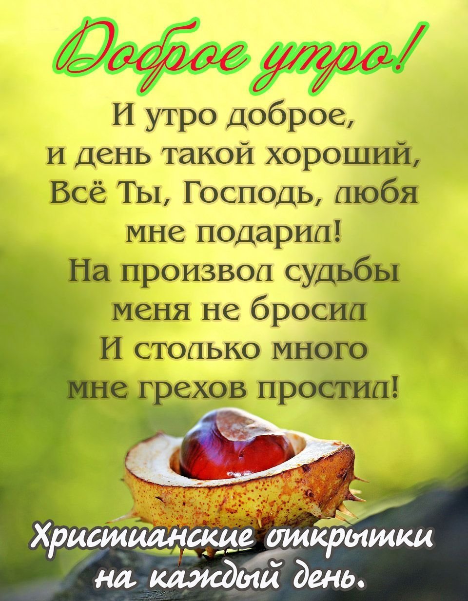 Доброе утро и благословенного дн