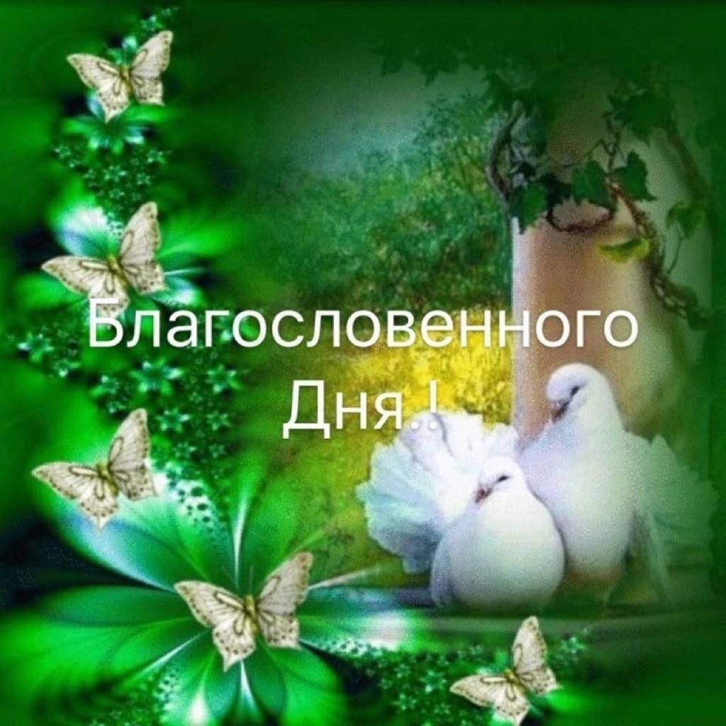 Позитивные пожелания с добрым утром