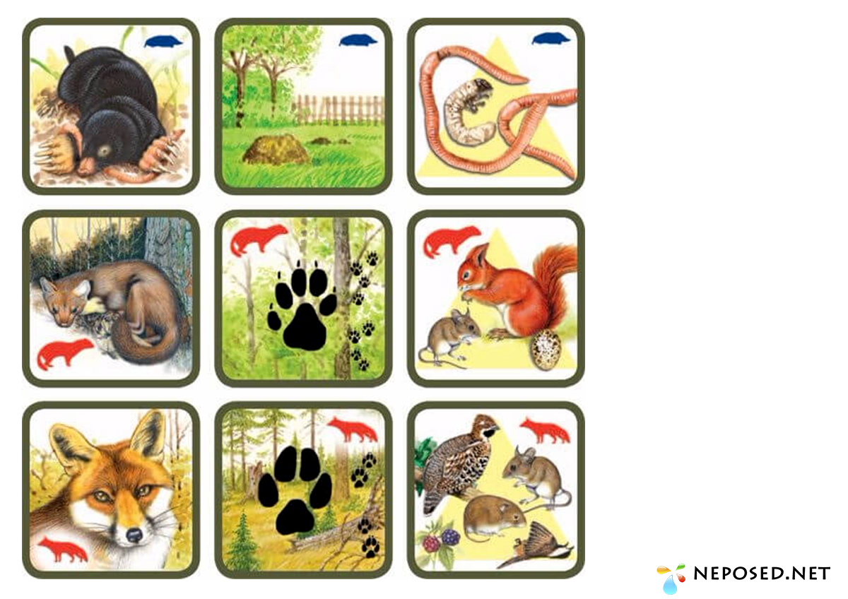 Дидактическая игра чьи следы Дикие животные