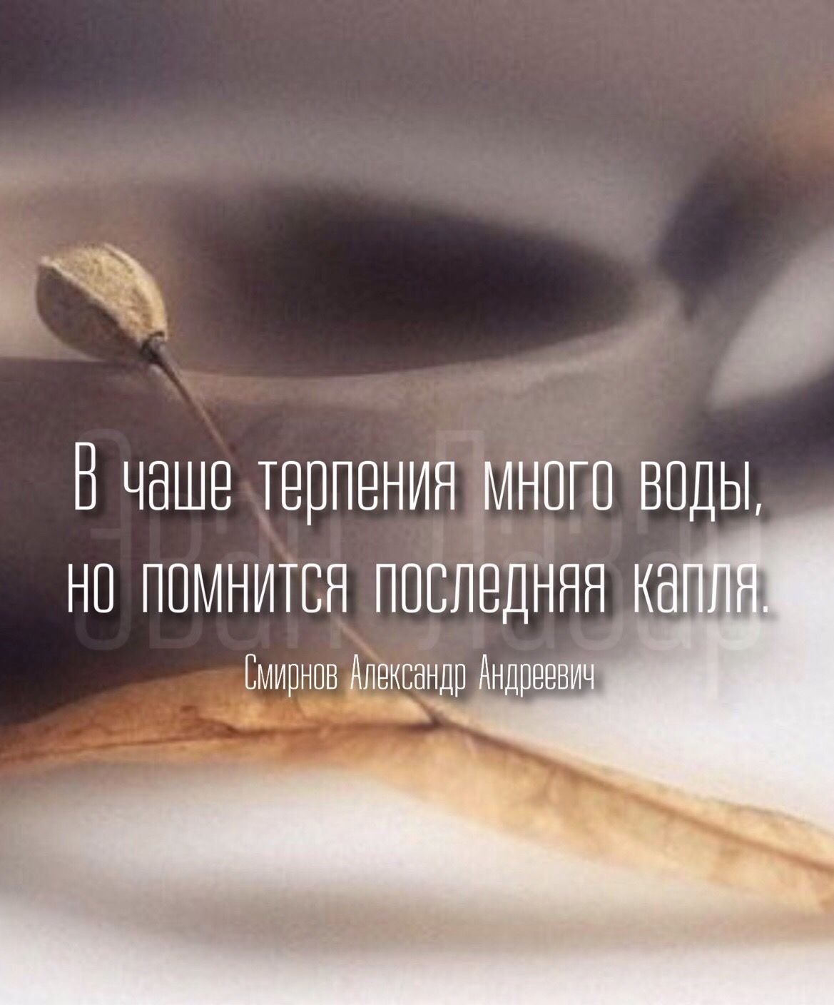 Чаша терпения переполнена