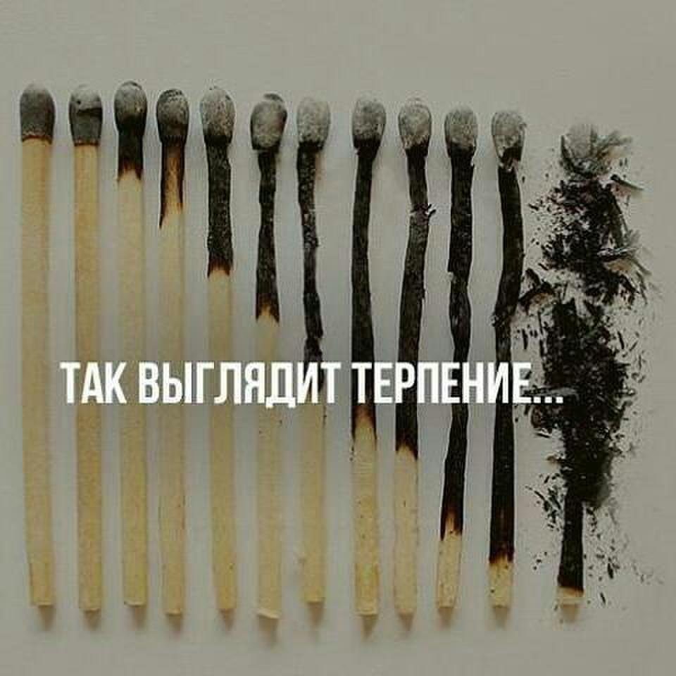 Вот так выглядит терпение