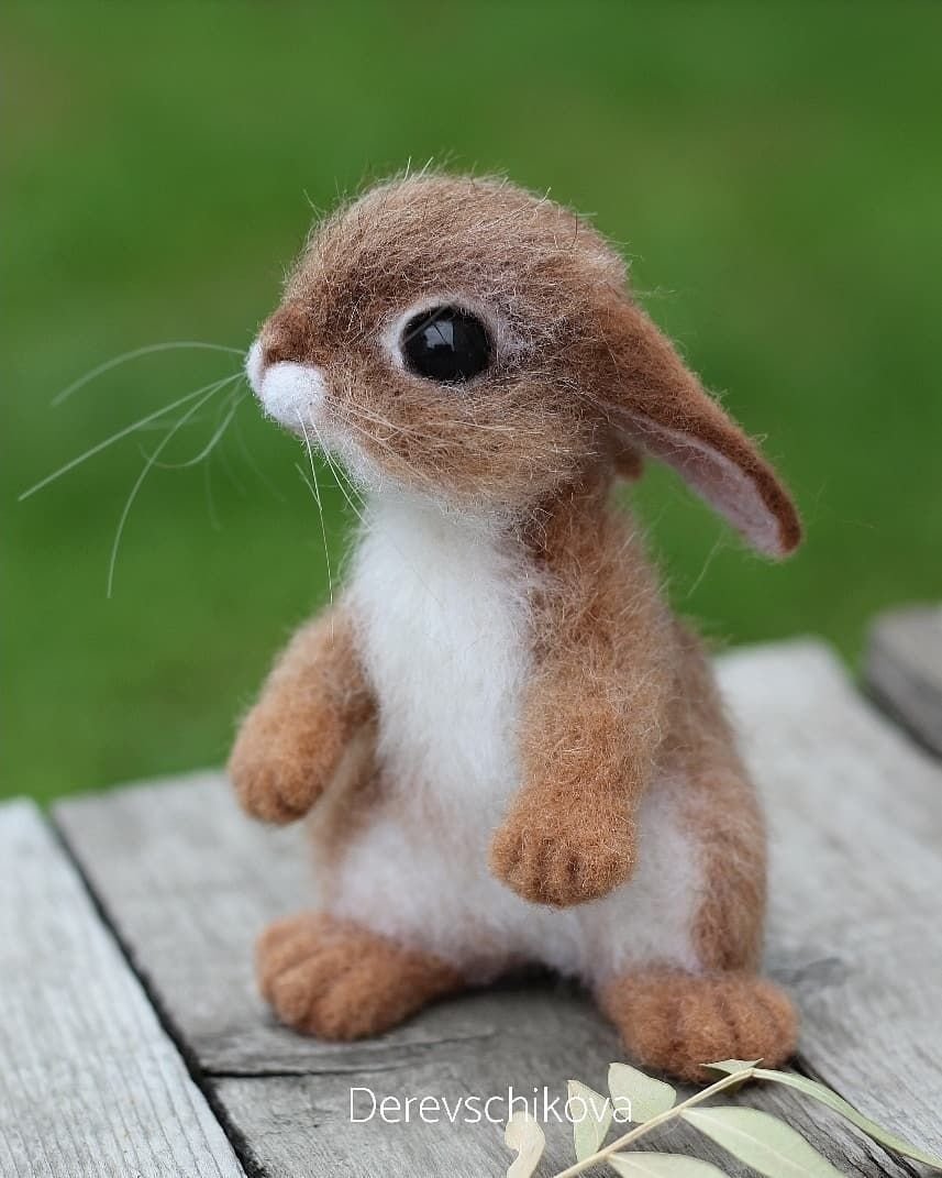 Эстетика хомячков