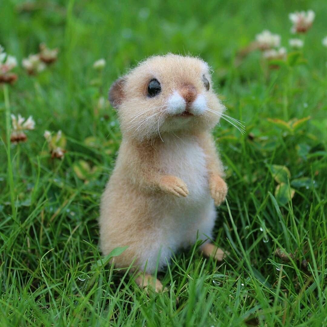 Mr.Pokee очаровательный ёж-путешественник