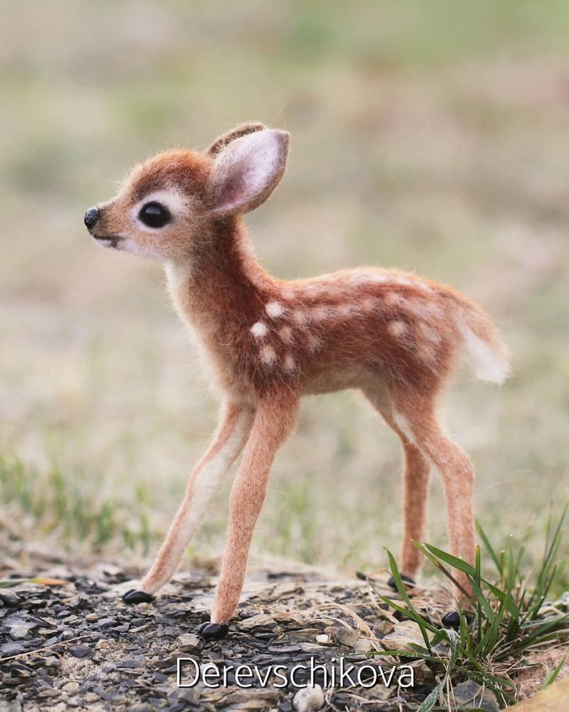 Много мультяшных животных