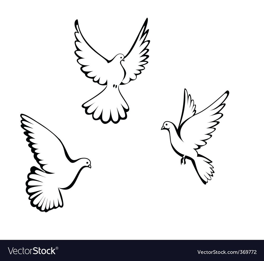 Маленький голубь рисунок