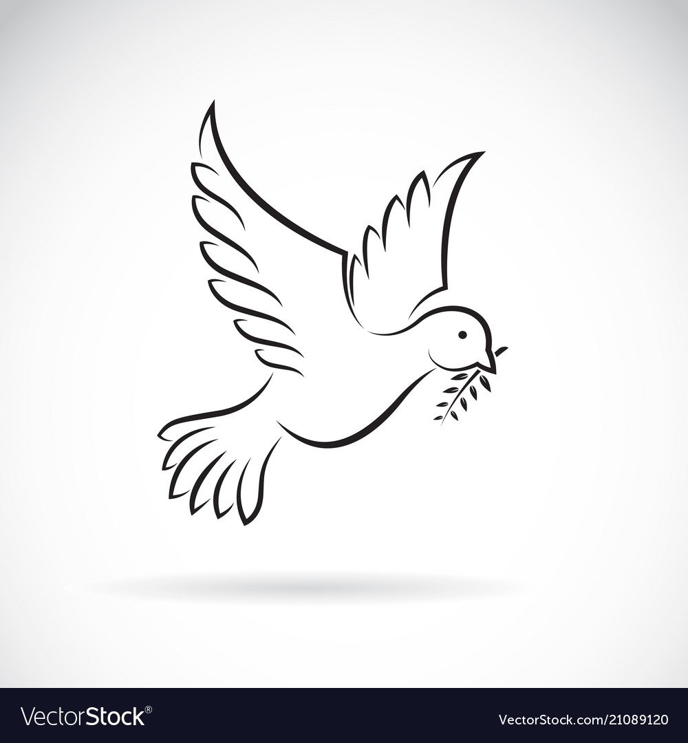 Голубь с оливковой ветвью