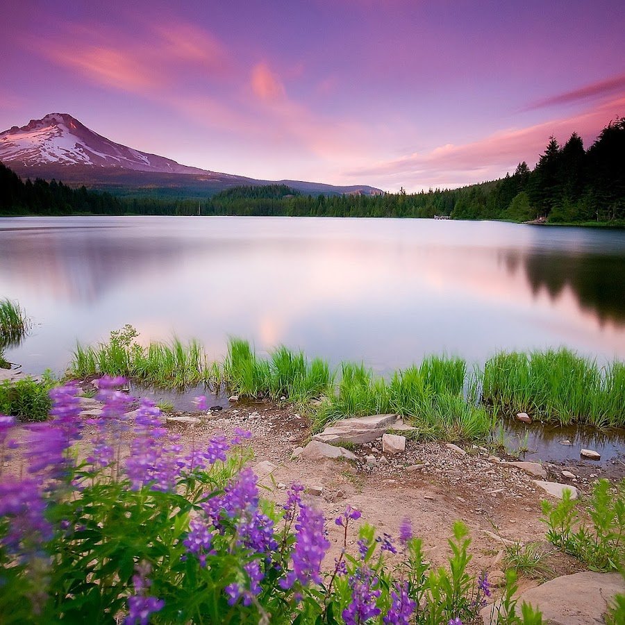 Успокаивающий пейзаж