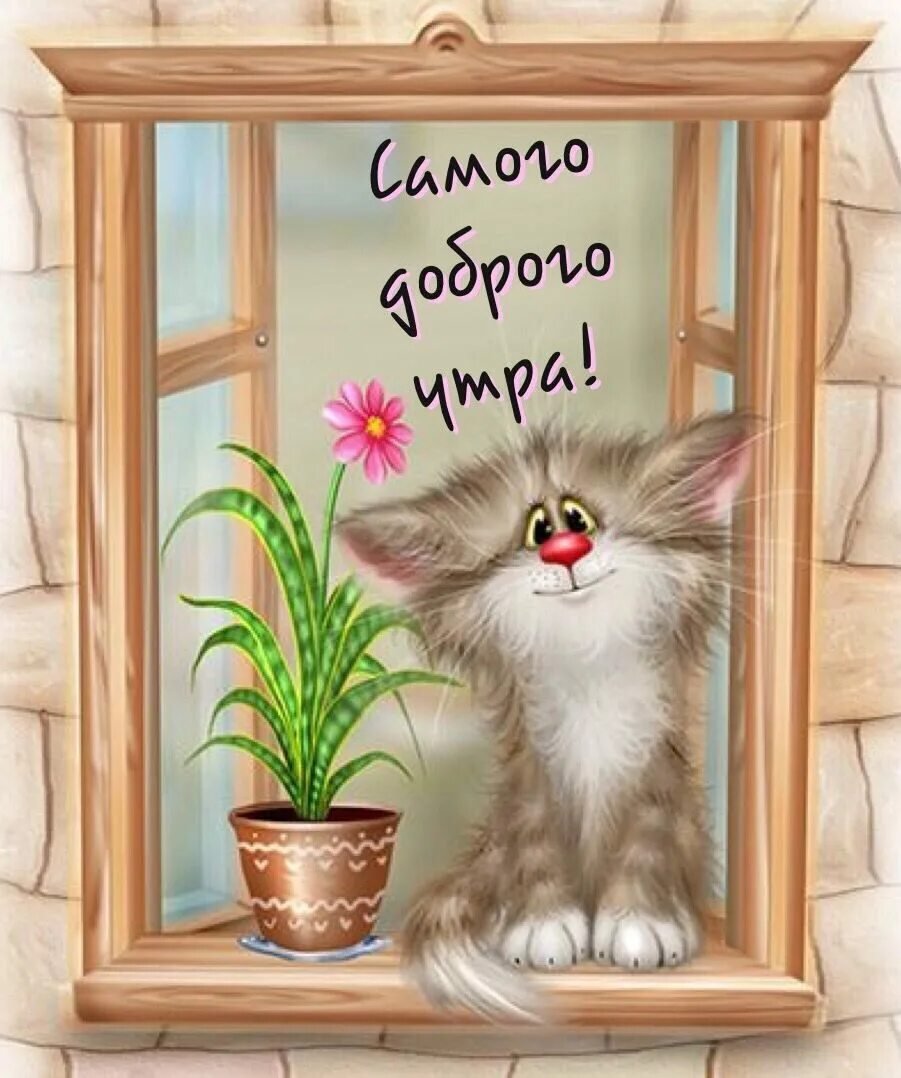 Котики Алексея Долотова доброе утро