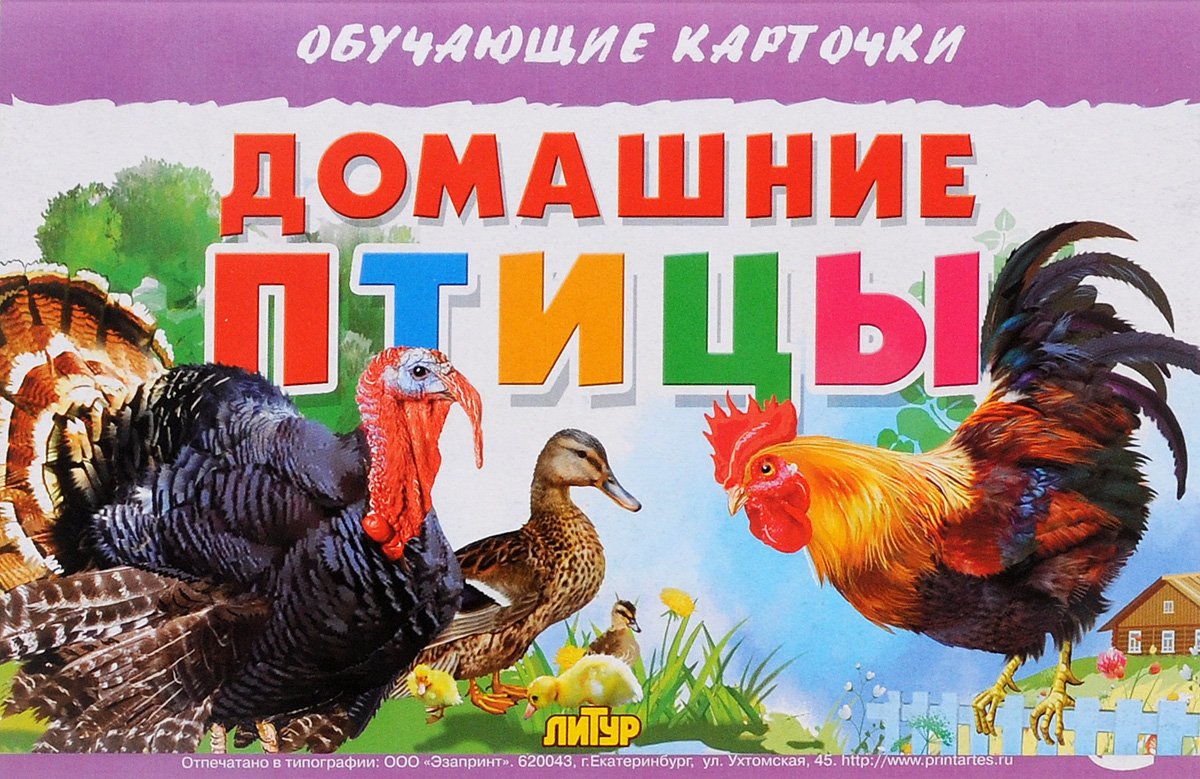 Домашние птицы