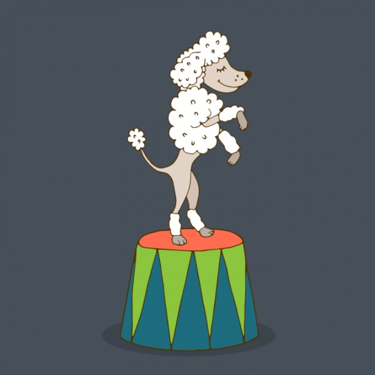 Дрессировщица собак в цирке костюм