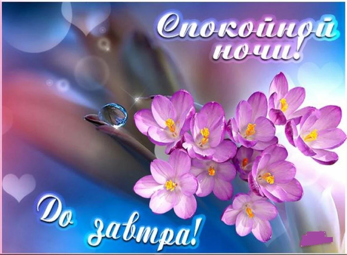 Спокойной ночи