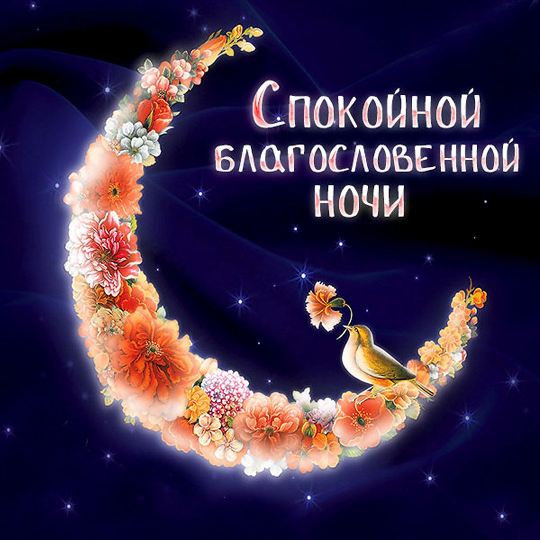 Спокойной летней ночи