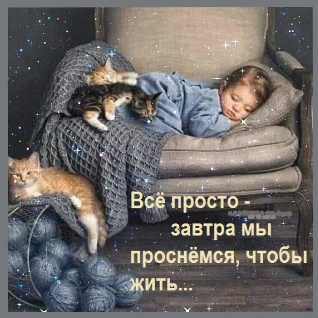 Доброй ночи