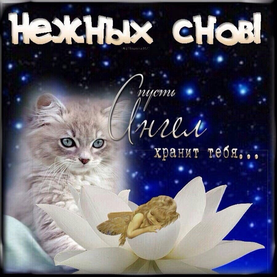 Открытки спокойной ночи на итальянском