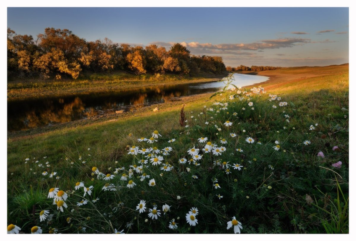 Фотохудожники-лето природа