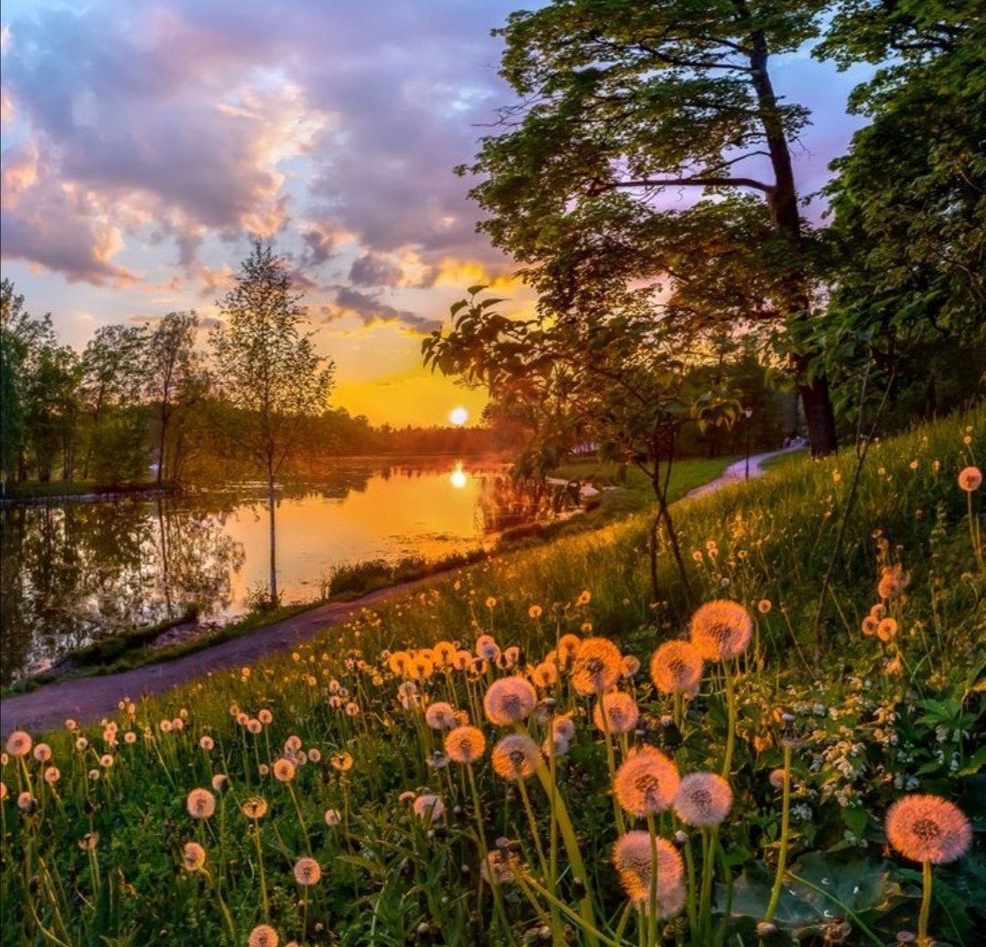 Природа России лето рассвет