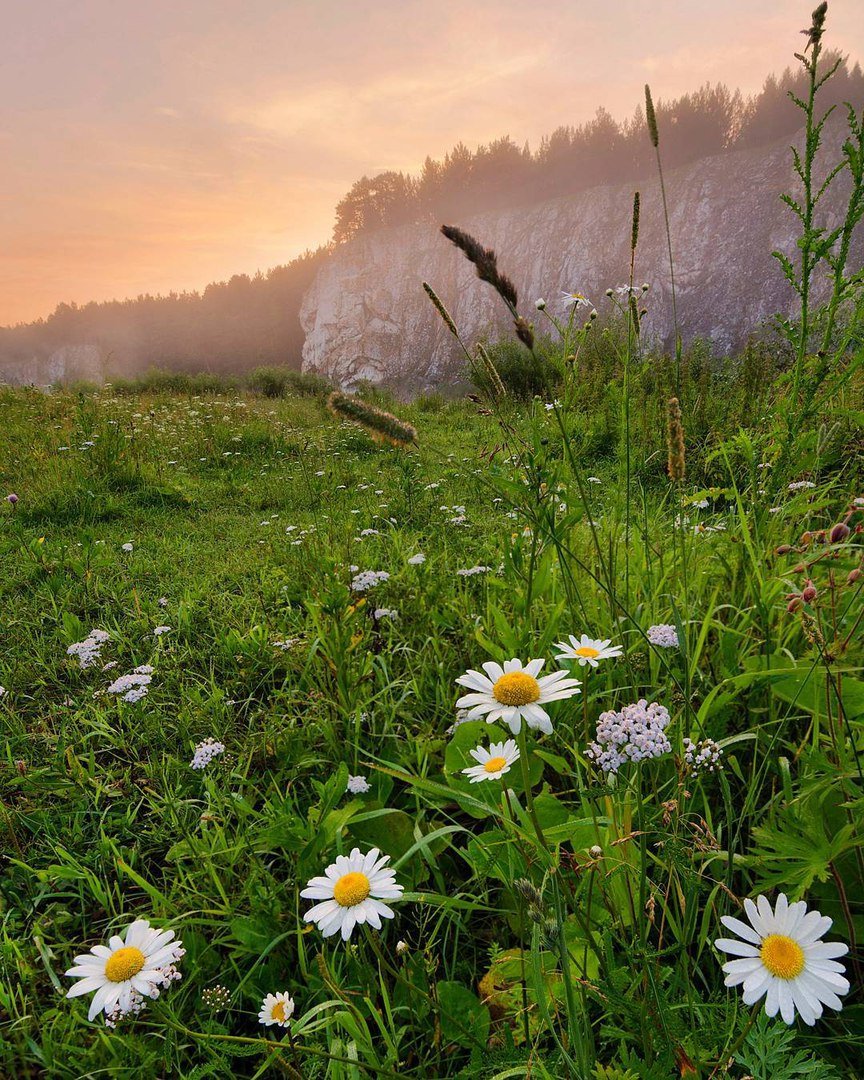 Утро в России природа