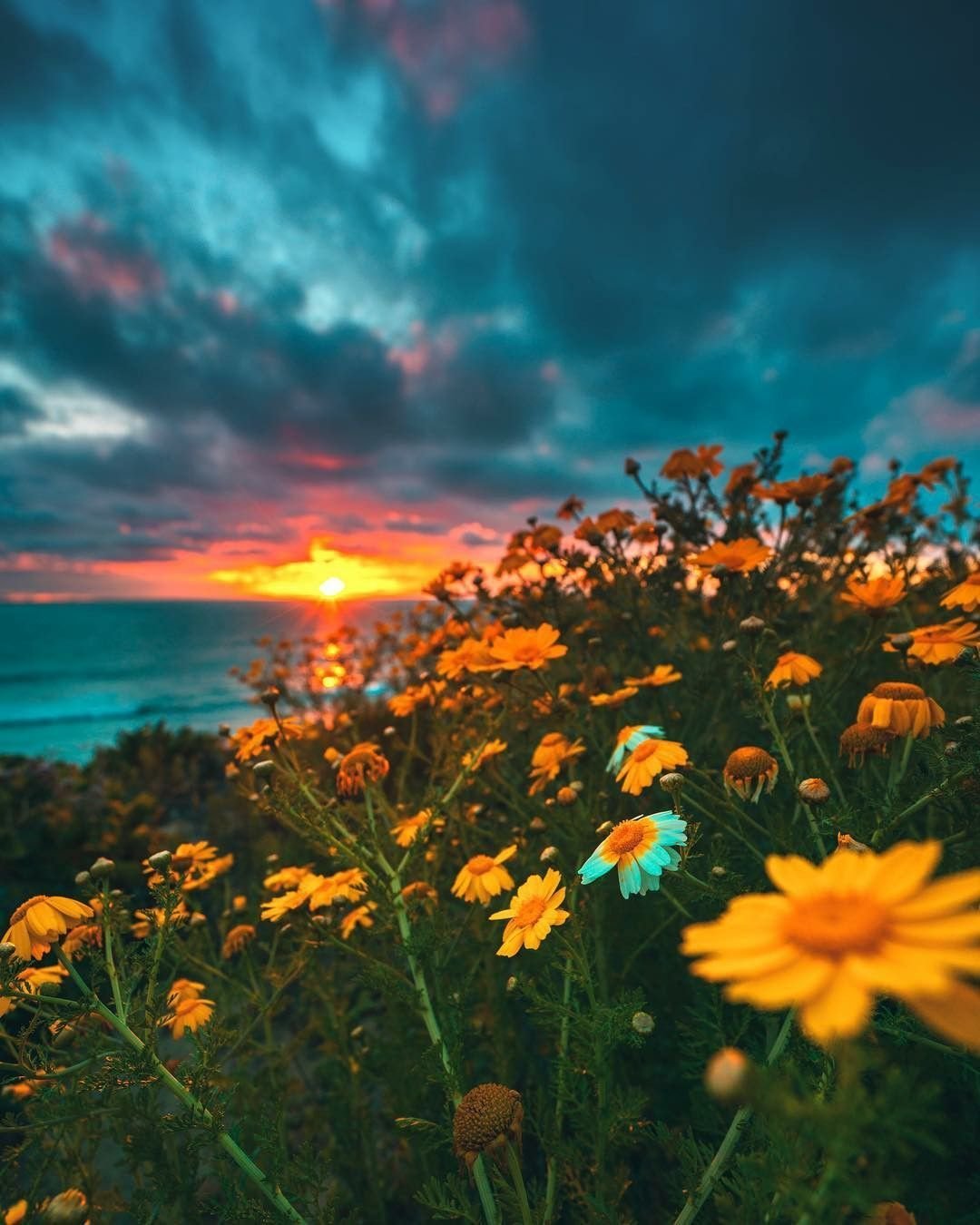 Природа для инстаграма