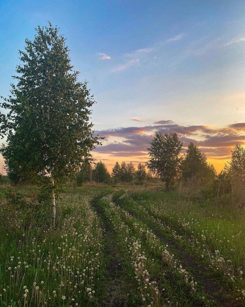 Россия летом