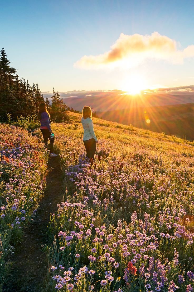 Жизнь природа