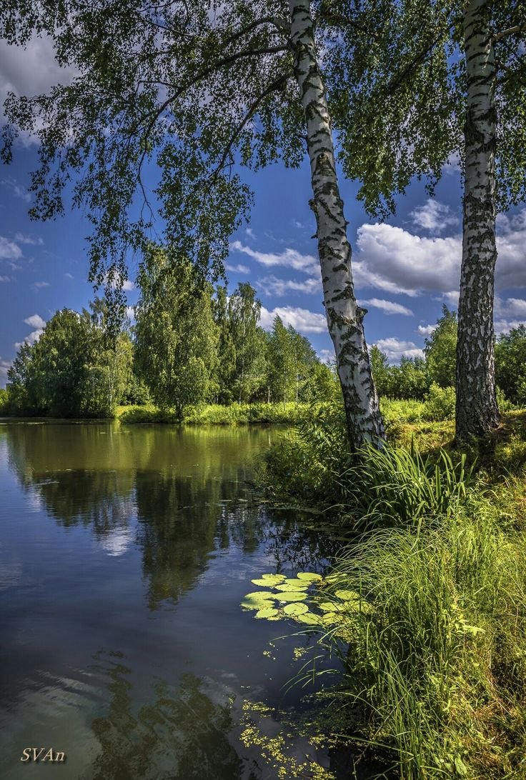 Природа России фотолюбитель