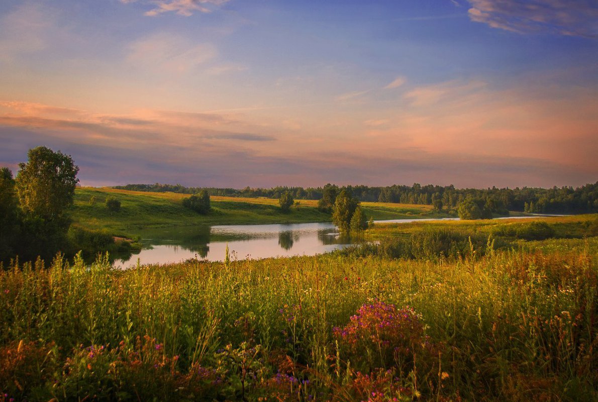 Природа средней полосы России