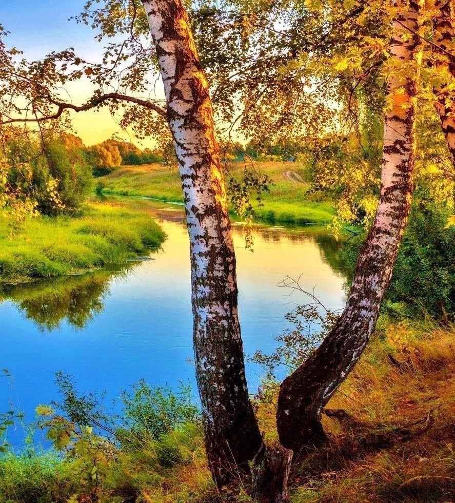 Природа деревня речка Березки