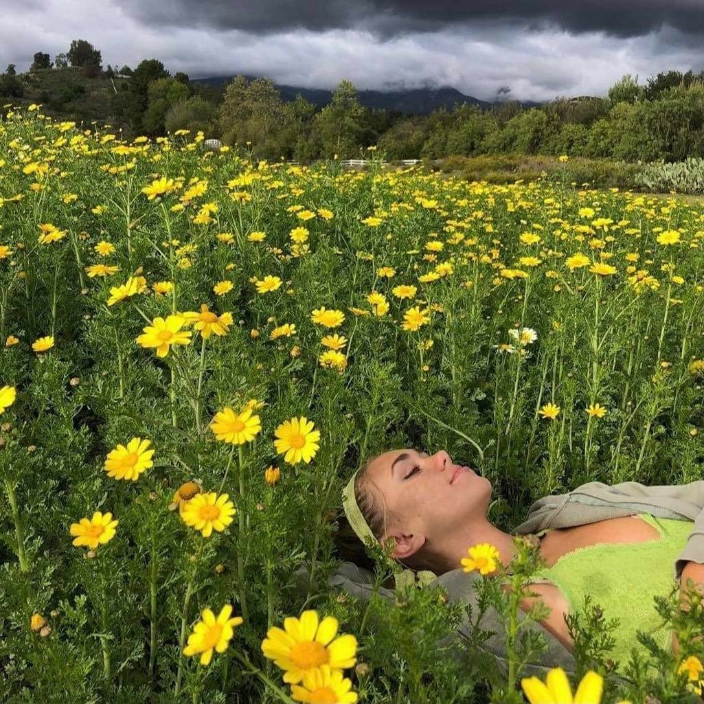 Лето Эстетика счастливое