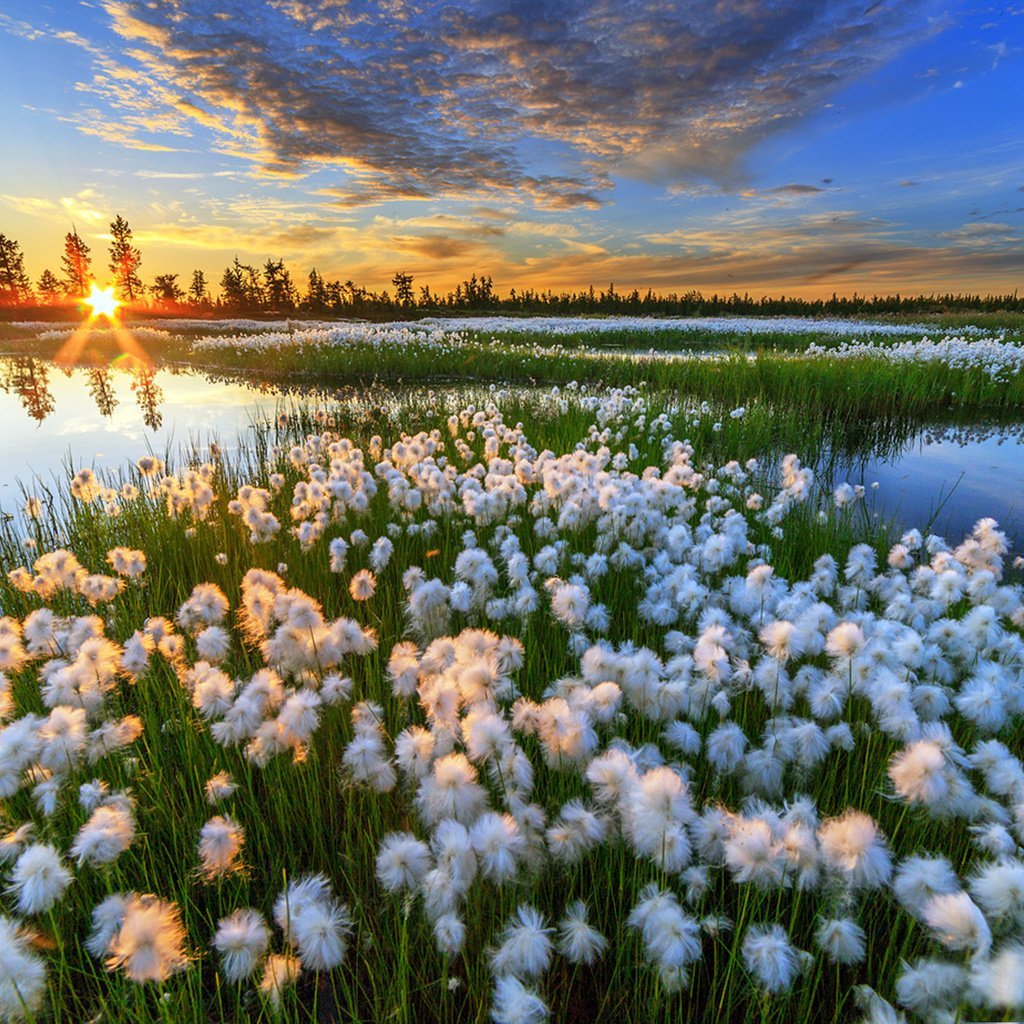 Краса России природа