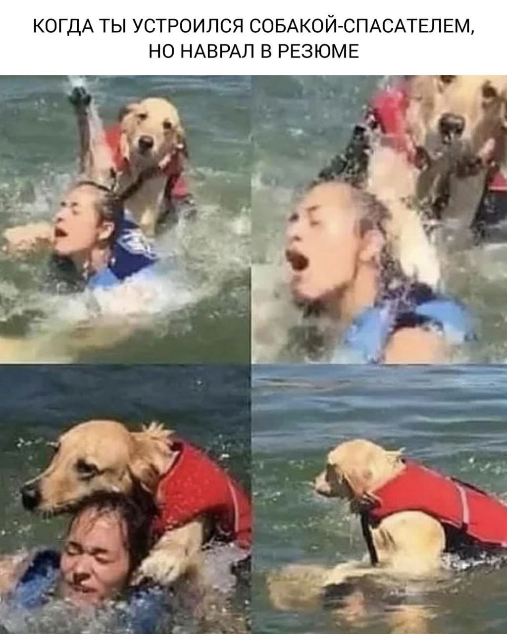 Демотиваторы попки девушек