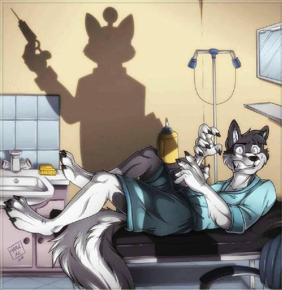 Фурри доктор