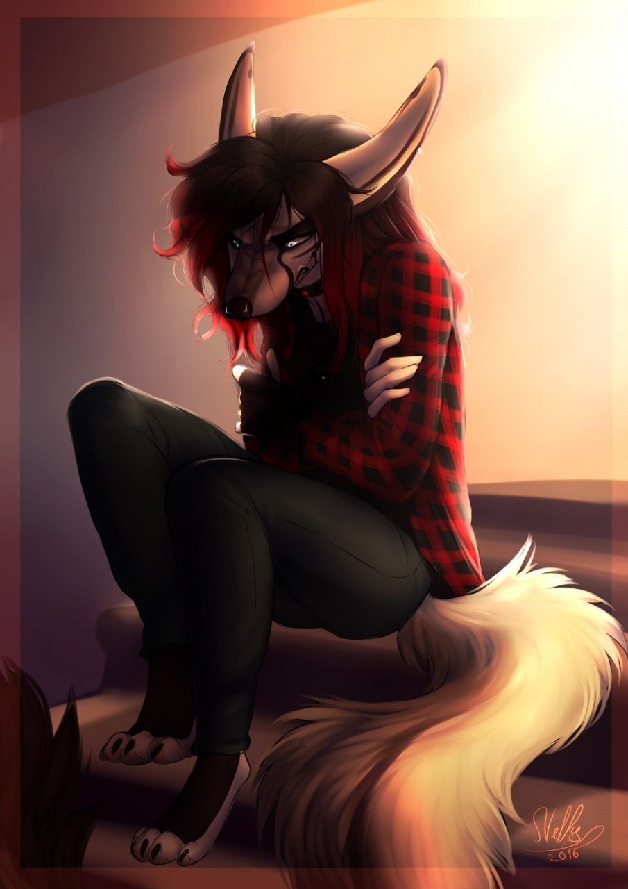 Фурри Аселла