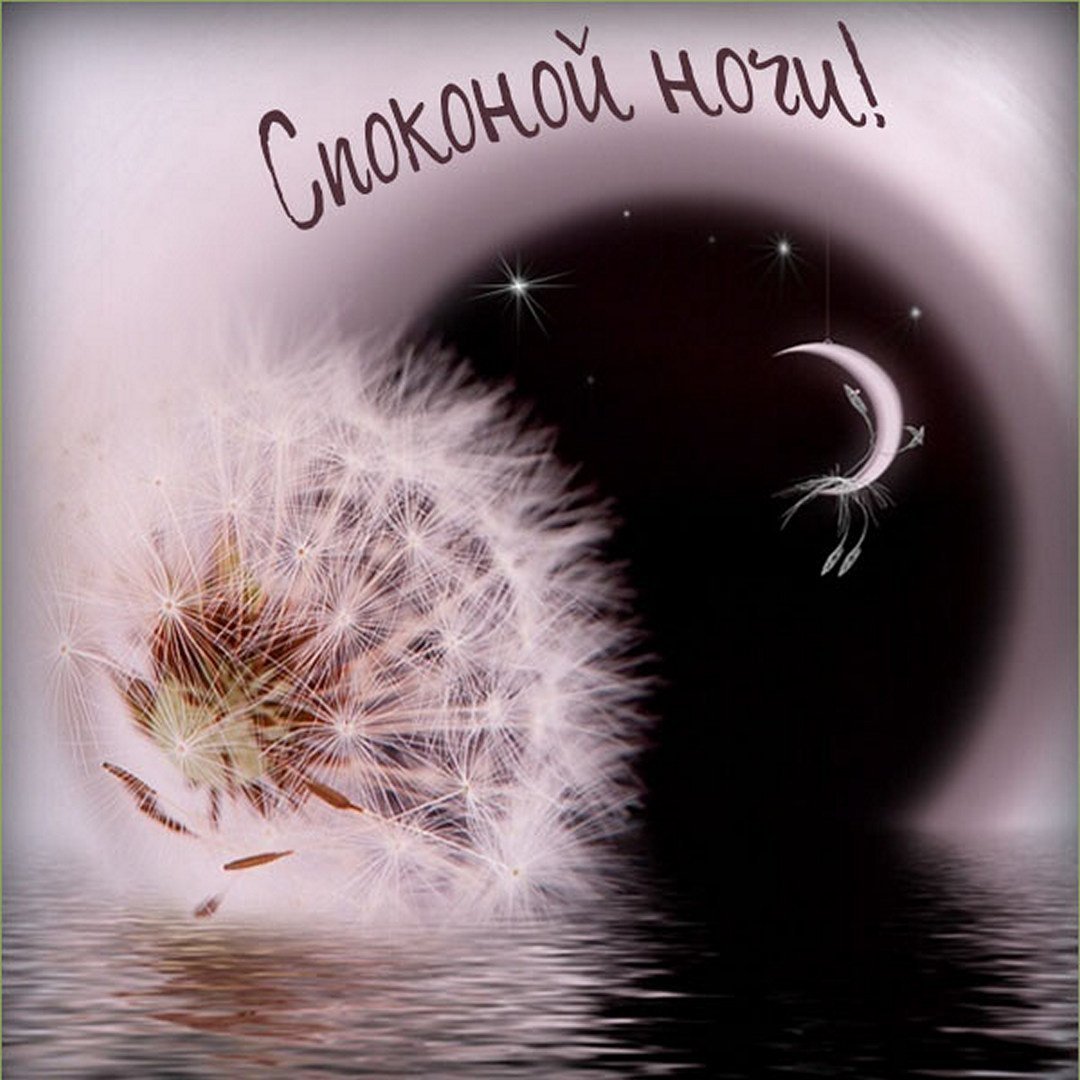 Доброй ночи пушистых снов