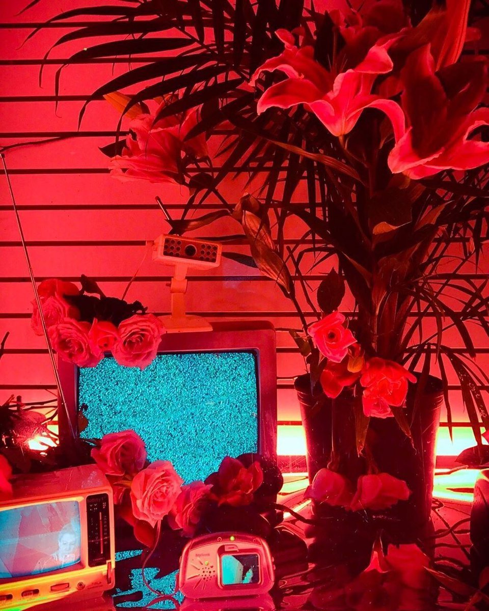 Эстетика Краснова цвета