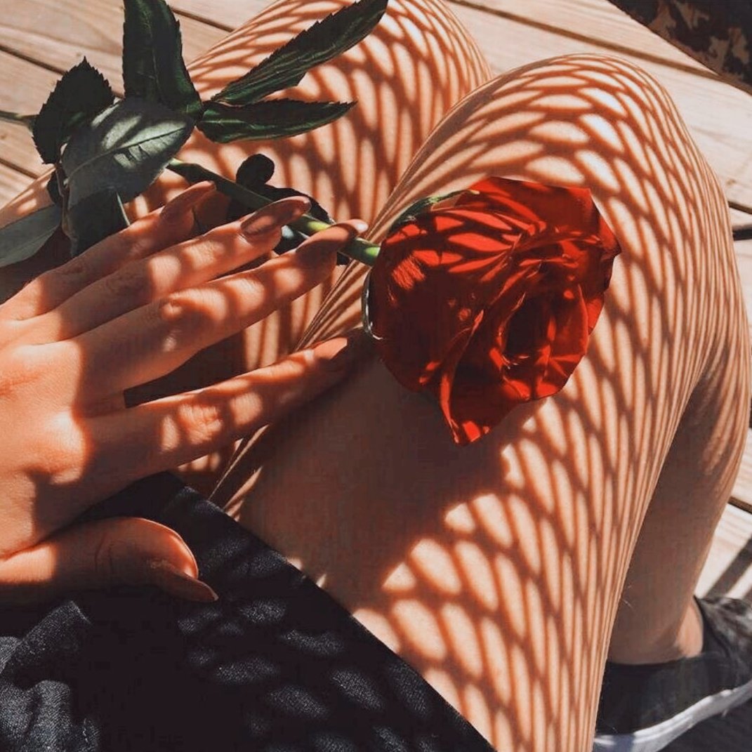 Розы сохраненки