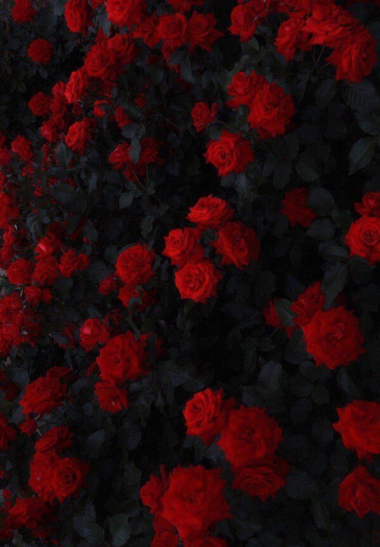 Эстетика красного цвета