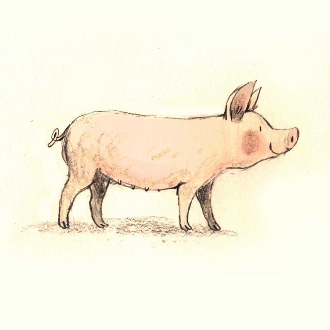 Свинья туториал