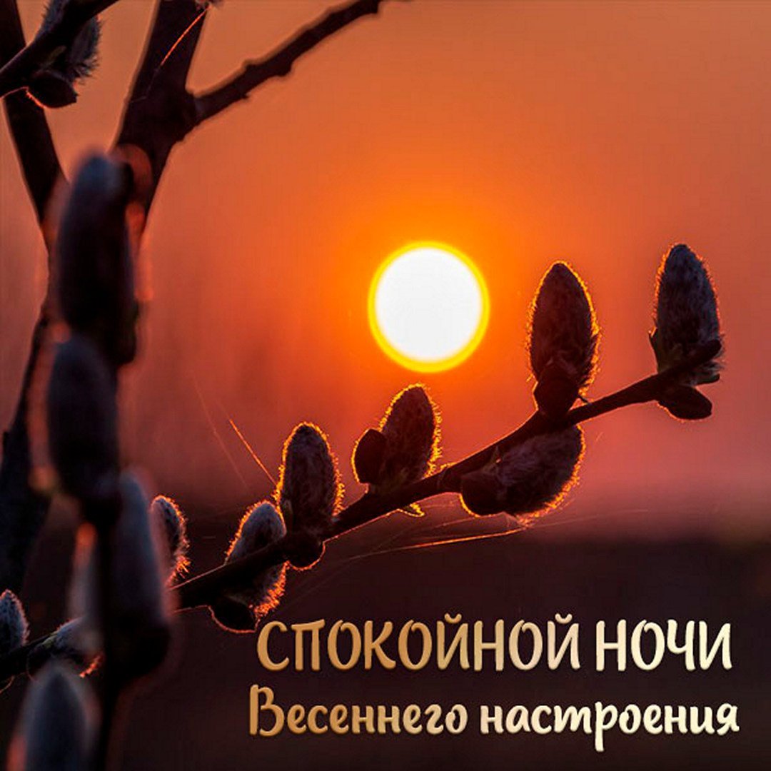 Спокойной весенней ночи красивые картинки