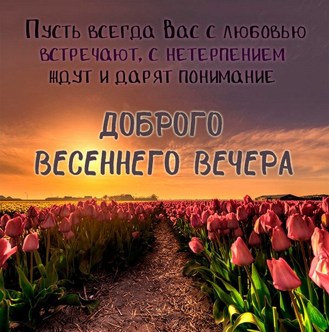 Спокойной весенней ночи с пожеланиями