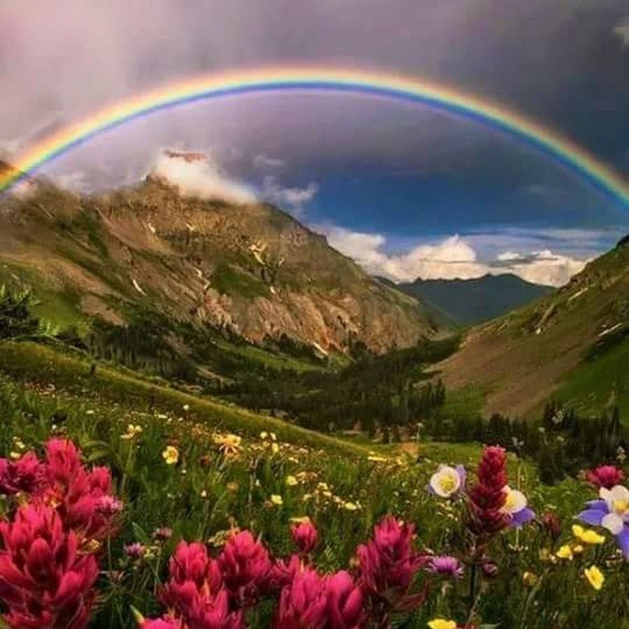 Утро в деревне