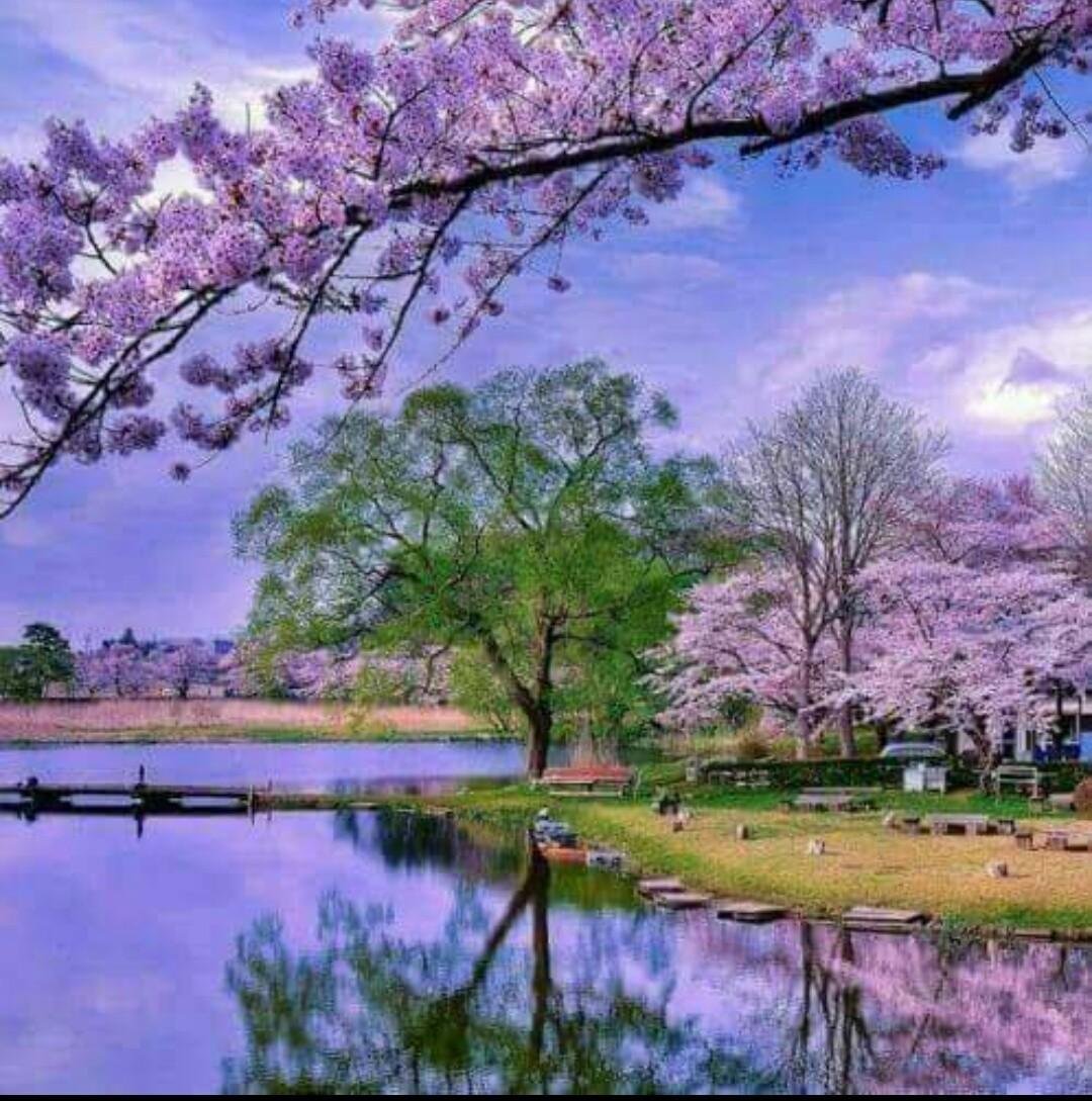 Красивый рассвет