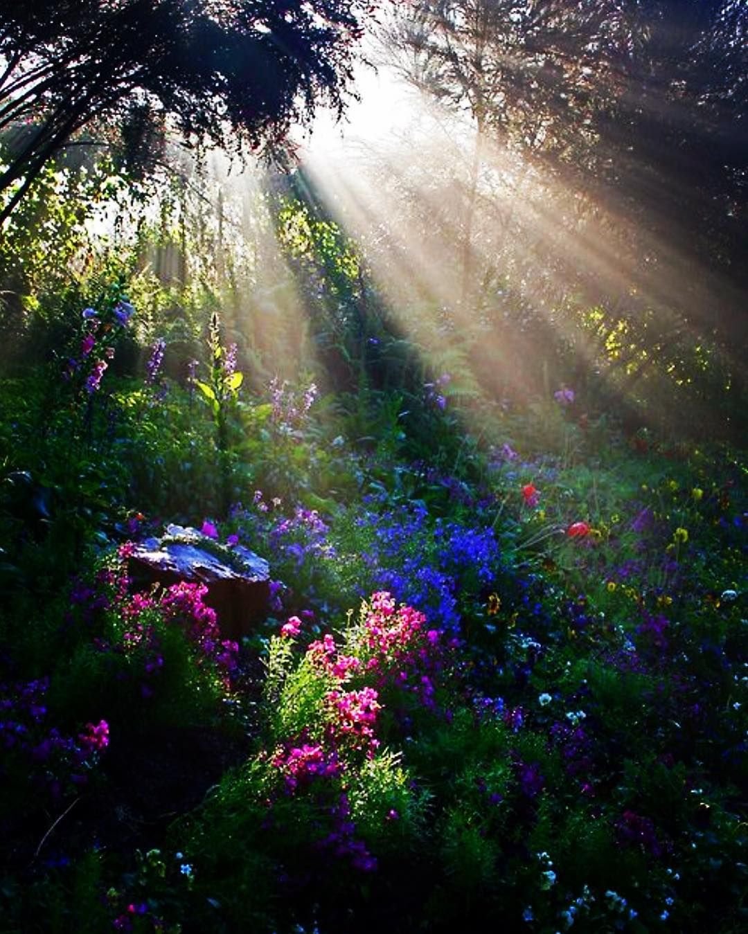 Чудесные пейзажи