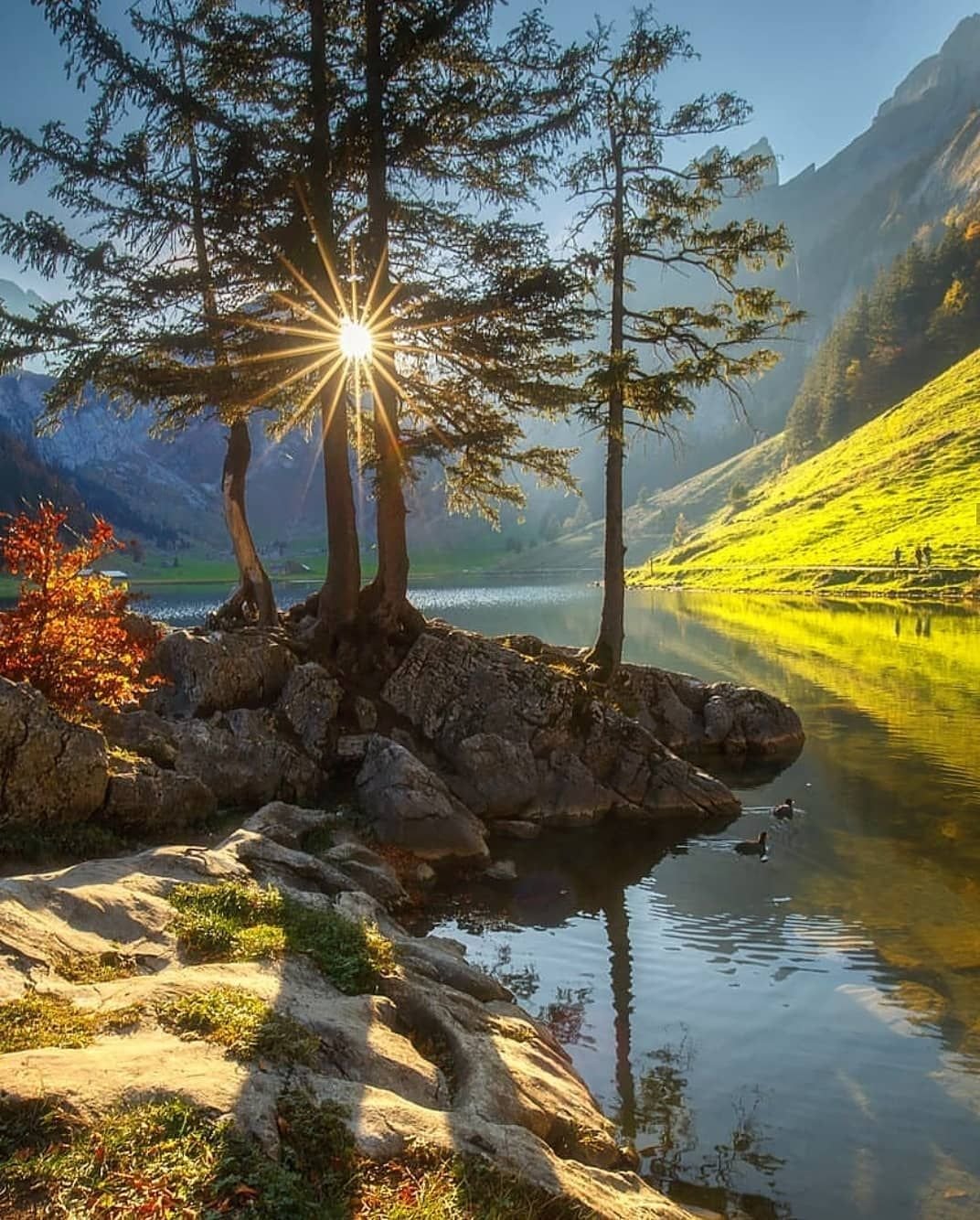 Утро природа